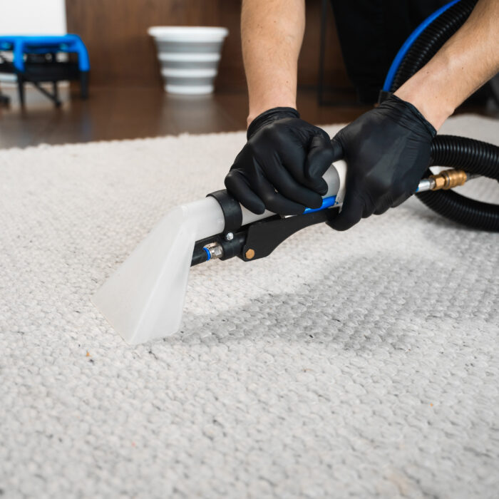 Nettoyage et Traitement de Tapis à Le Havre Seine-Maritime 76 Technicien Proclean nettoyant en profondeur un tapis